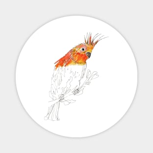 Tropical orange parrot Magnet